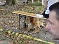 img 146
